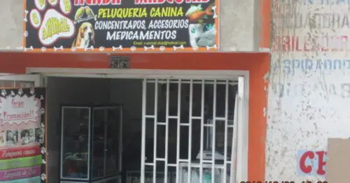 TIENDA DE MASCOTAS CALLE 90 SUR CON 6C TIENDA DE MASCOTAS CALLE 90 SUR CON 6C